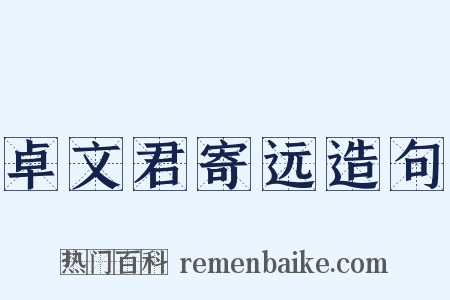 卓文君寄远造句是什么意思的图片